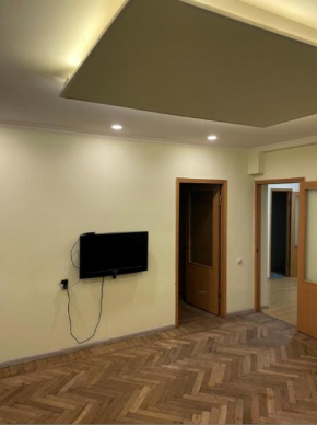 Comfortable apartment in center